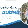 bao ve tai hai duong s3