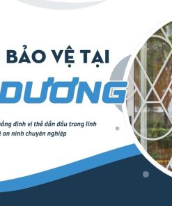 bao ve tai hai duong s3