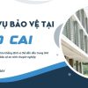 bao ve tai lao cai s3