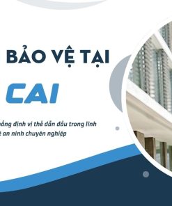 bao ve tai lao cai s3