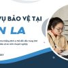 bao ve tai son la s3