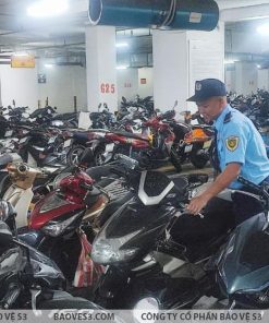 bao-ve-trong-xe-s3-2